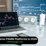 Best Forex PAMM Platforms In 2024